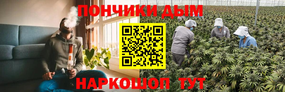 Конопля Ganja  МАРИХУАНА планчик  Вход с VPN  Кинель  Конопля индика  Марихуана White Widow 